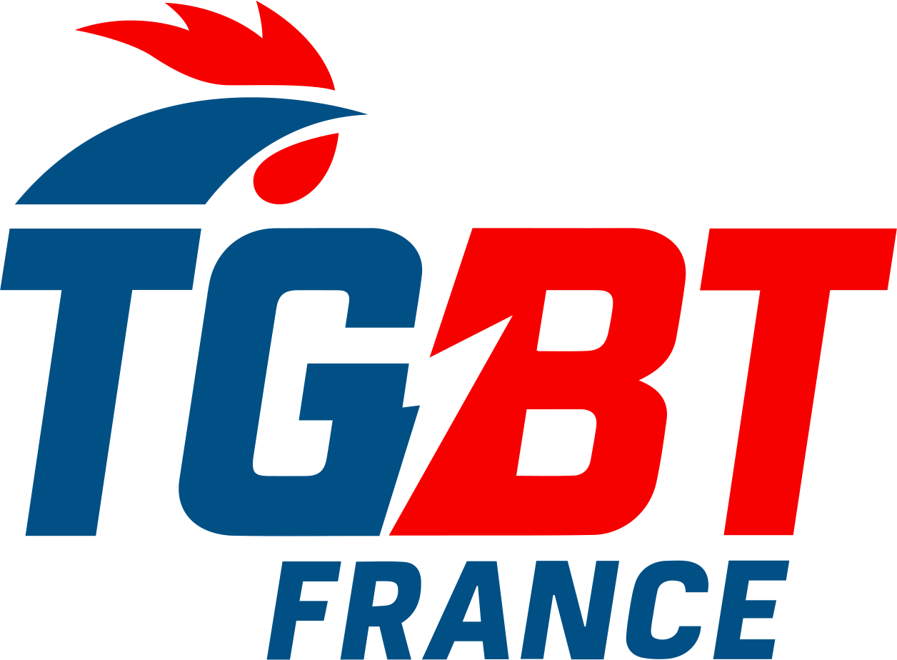 Maintenance / Dépannage haute tension en Auvergne-Rhône-Alpes